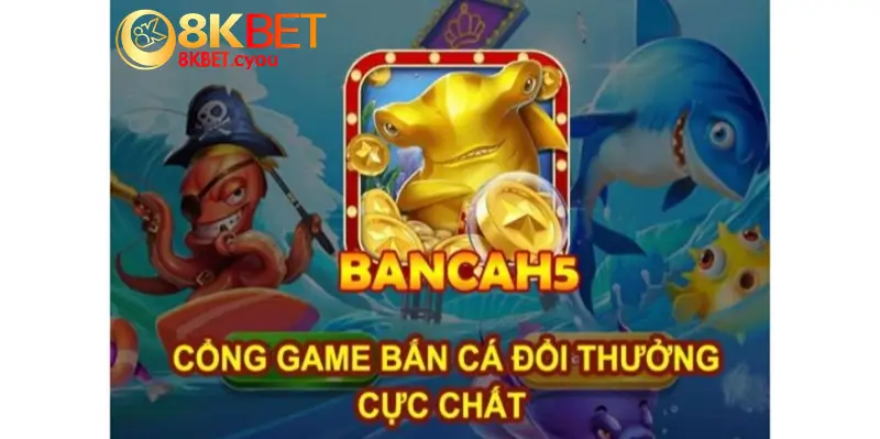 ban ca h5 8kbet